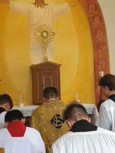 Photos Fête-Dieu : adorons Jésus au Saint-Sacrement – Paroisse St Louis ...